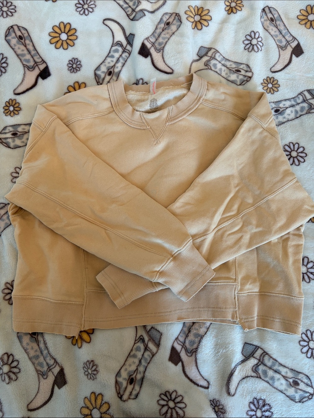 Free people crewneck
